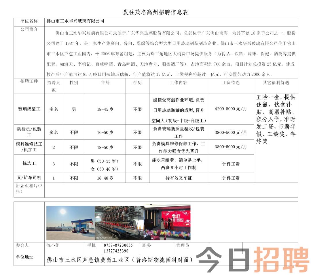 大石最新招聘动态与机会深度解析