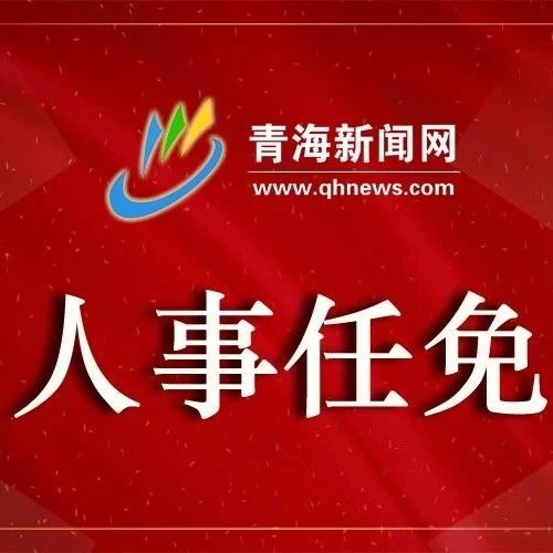 青海省最新人事任免动态概览