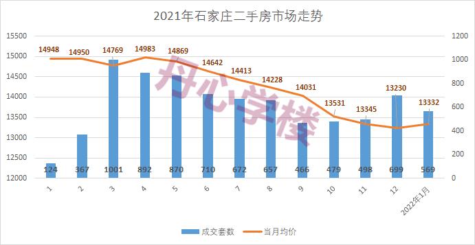 2024年12月23日 第17页