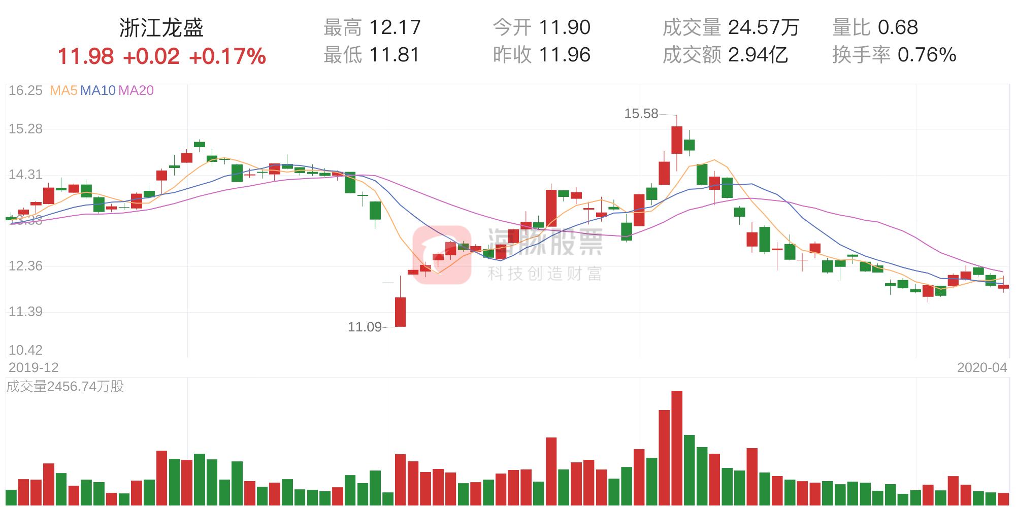 浙江龙盛引领行业变革，共创未来发展新篇章公告发布