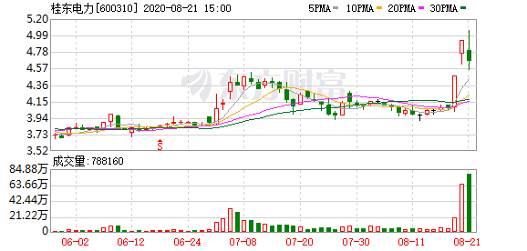 桂东电力股票最新消息全面解读与分析