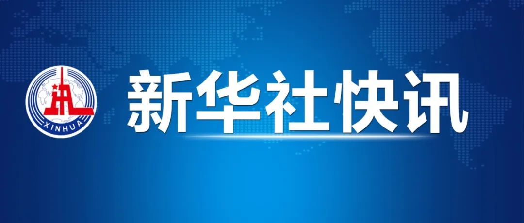 金新农最新动态全面解读