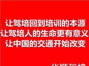 最新驾驶员招聘信息发布